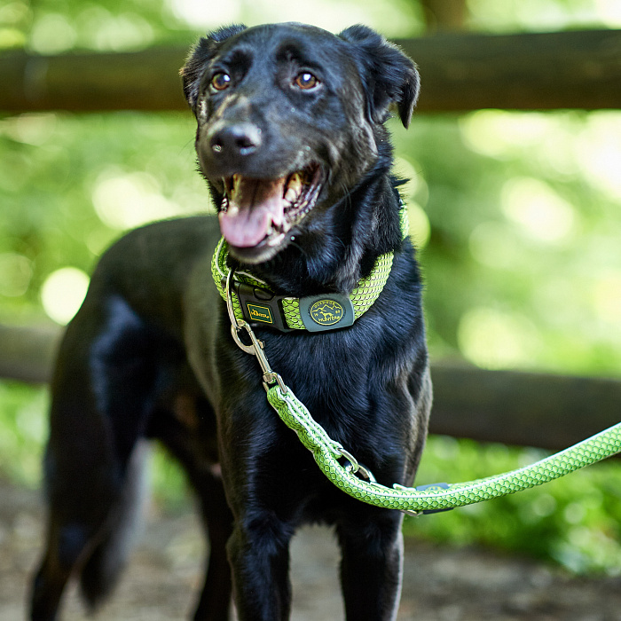 Hunter поводок-перестежка для собак Hilo 20 / 200 нейлон лайм СКИДКА 50%