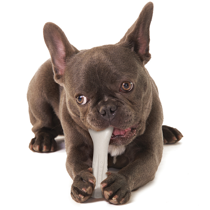 Petstages игрушка для собак Deerhorn, с оленьими рогами 12 см маленькая