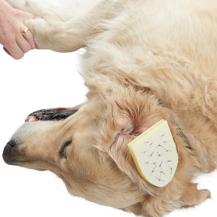 KRUUSE BUSTER гемостатическая губка 12 х 8 см.