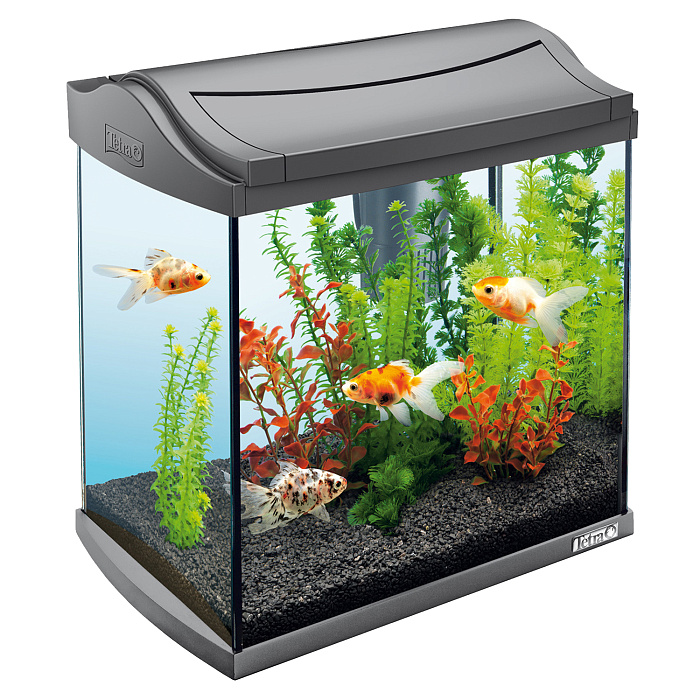 Tetra AquaArt Crayfish Discover Line аквариумный комплекс  30 л СКИДКА 40%