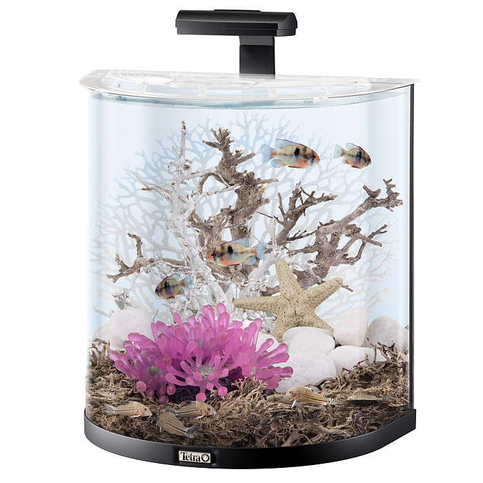 Tetra AquaArt Explorer Line LED 60 л - аквариумный комплекс "Полумесяц" СКИДКА 40%