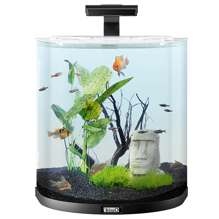 Tetra AquaArt Explorer Line LED 60 л - аквариумный комплекс "Полумесяц" СКИДКА 40%