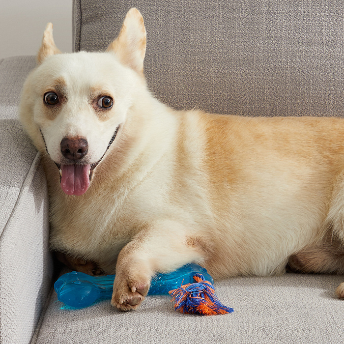 Petstages игрушка для собак "ОРКА косточка" большая 23 см