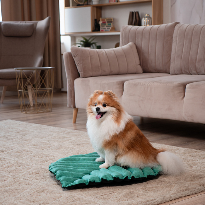 Лежанка Mr.Kranch для собак Листочек большая двусторонняя размер 120х73х6см зеленая