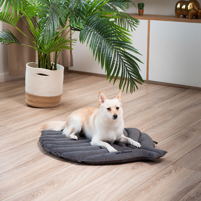Лежанка Mr.Kranch для собак Листочек большая размер 120х73х6см серая