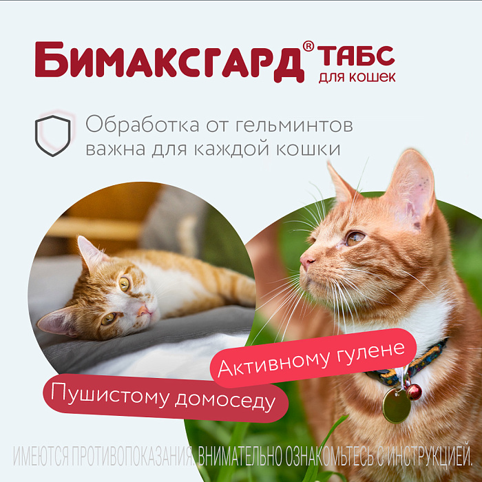 Бимаксгард® ТАБС антигельминтный препарат для крупных кошек, 2 таб.