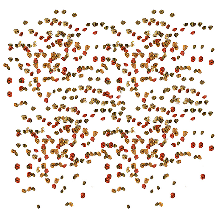 TetraMin Granules корм для всех видов рыб в гранулах 250 мл