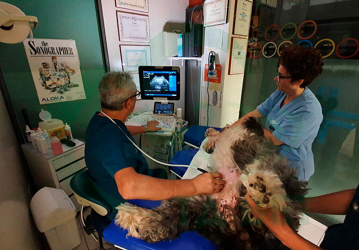 ТД ВЕТ Стол ветеринарный для УЗИ VETBOT-90, 1320x720x(330-1130)h (каркас серый, пульт ножной)