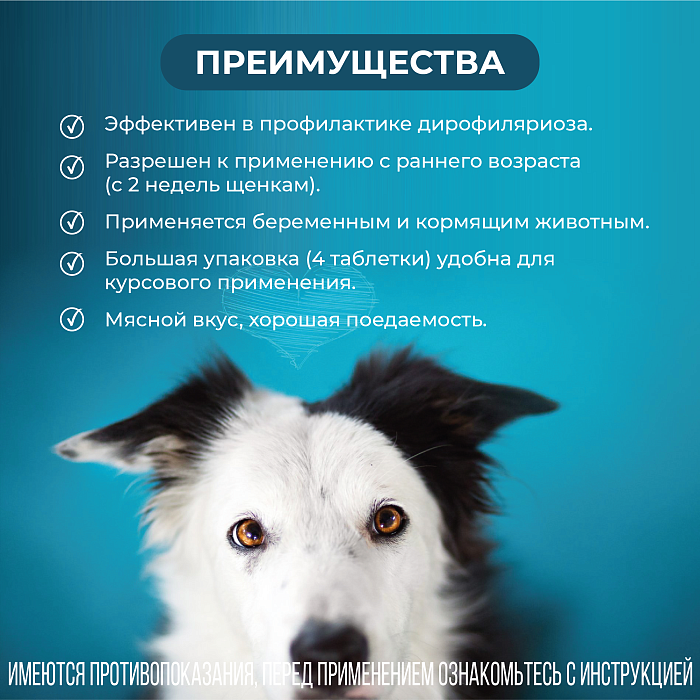 VIC Пинпрамиль® 2,5мг/25мг, для щенков и взрослых собак, коробка 4 табл.