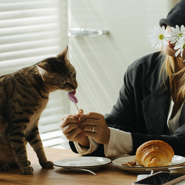 Лакомство Ranova для кошек сублимированное на палочке микс вкусов: козье молоко*3; клюква*3; тыква*3; черника*3; ячмень*3, 1,4 г х 15 шт
