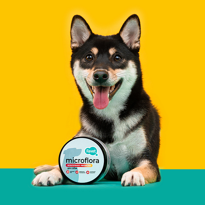 Favet Функциональное лакомство SuperFlora Soft Chews для пищеварительной системы для собак, 120г