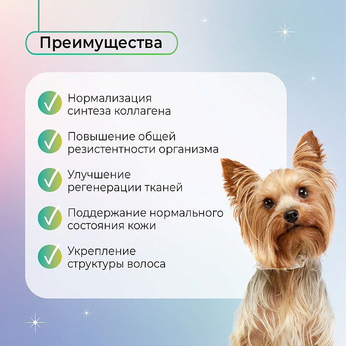 Favet Функциональное лакомство MultivitaminDog Soft Chews для кожи и шерсти для собак, 120г