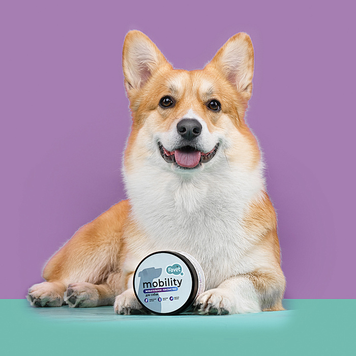 Favet Функциональное лакомство PetPantel Soft Chews для мышц и суставов для собак, 120г