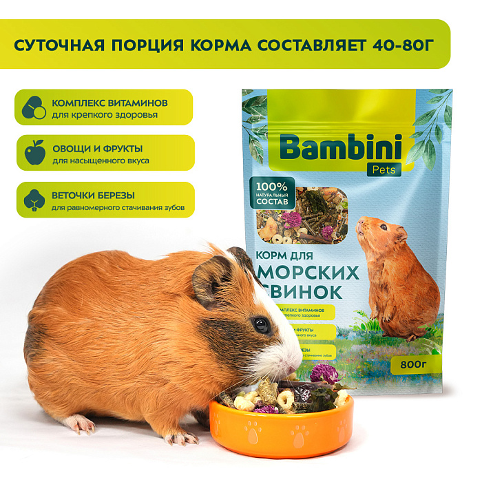 Корм Bambini Pets для морских свинок, 800 г