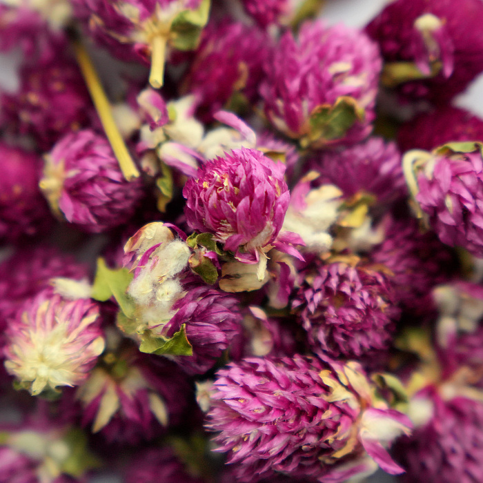 Лакомство Bambini Pets высушенные цветы клевера для грызунов и кроликов, 10 г.