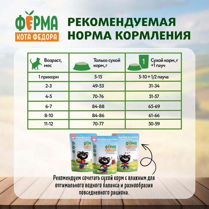 Сухой корм Ферма кота Федора для котят от 1 месяца, беременных и кормящих кошек с индейкой 650 г