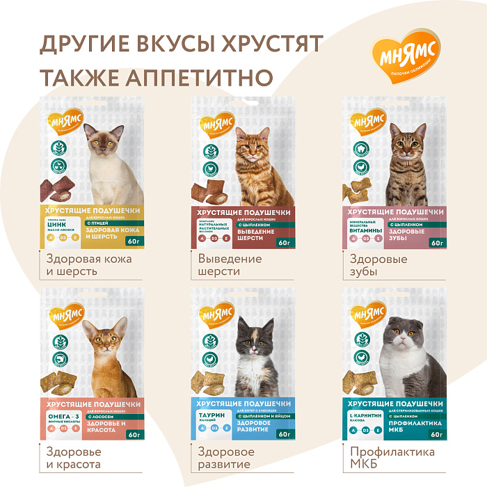 Лакомство Мнямс "Здоровье и активность" хрустящие подушечки для кошек с курицей 60 г.