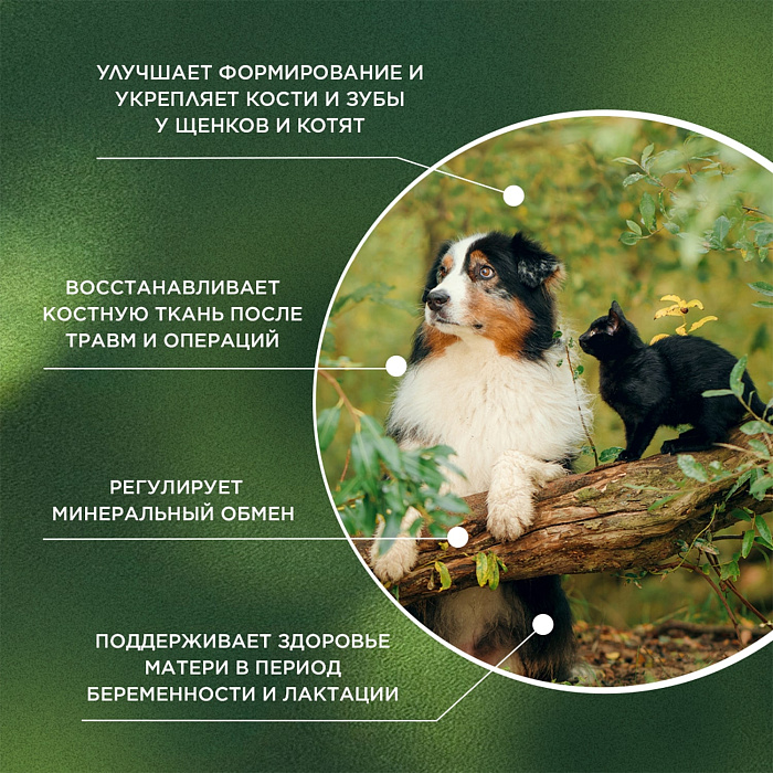 ProPhyto Остеоплюс, 70 таблеток