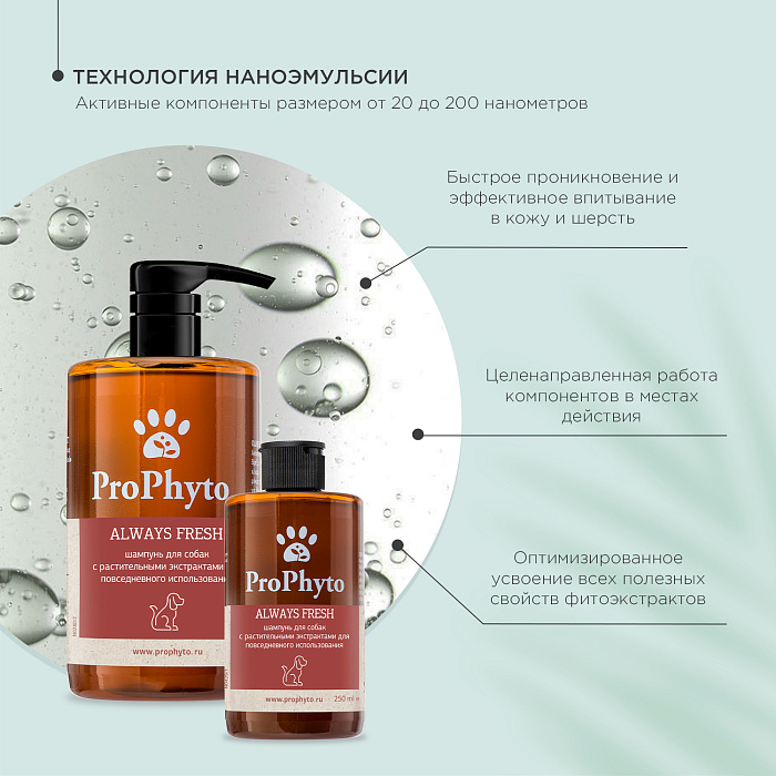 Жидкий шампунь ProPhyto ALWAYS FRESH с растительными экстрактами для регулярного гигиенического очищения кожи и шерсти собак, 500 мл