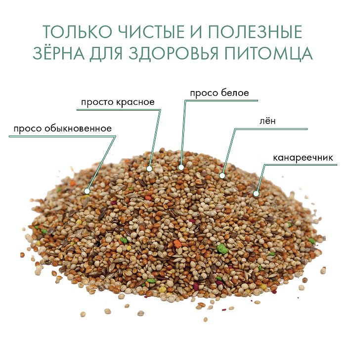 FIORY корм для экзотических птиц Classic 400 г