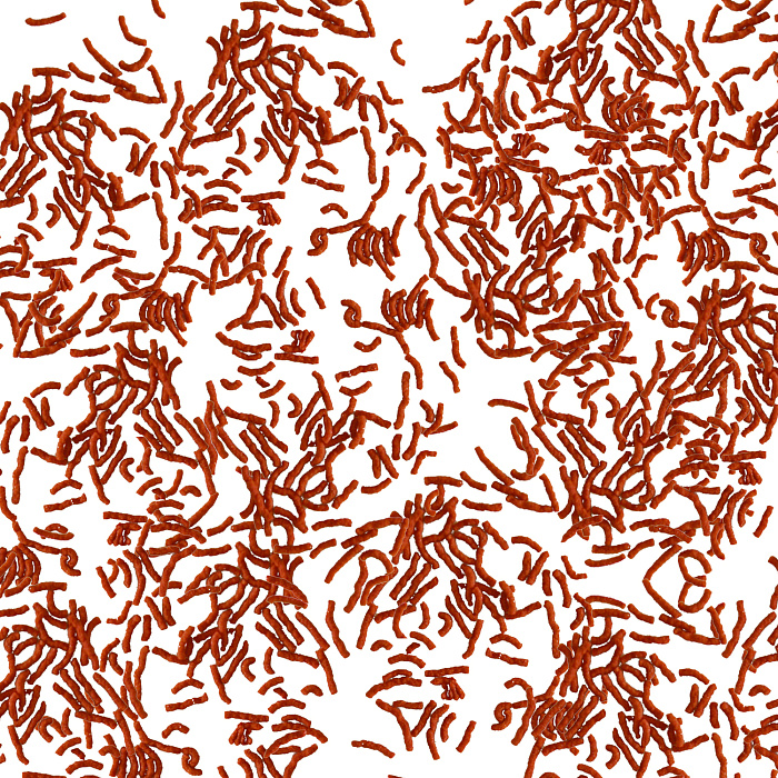 TetraBetta LarvaSticks корм в форме мотыля для петушков и других лабиринтовых рыб 5 г (sachet)