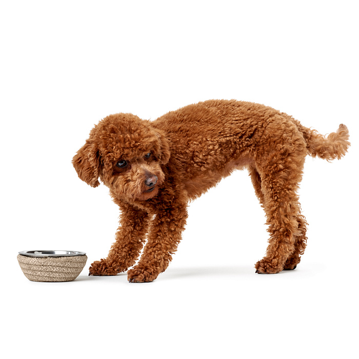 Hunter миска из нержавеющей стали Graz 160 мл, с плетением, бежевая СКИДКА 50%