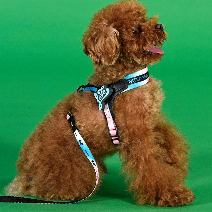 Шлейка United Pets для собак Complete me 0.5 - XXXS 25-33, розово-голубой тай-дай СКИДКА 30%