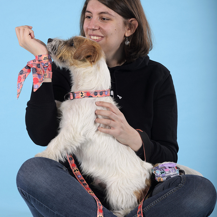 Ошейник United Pets для собак Complete me Forever S 26-40/1,6 см, оранжевый с рисунком СКИДКА 30%