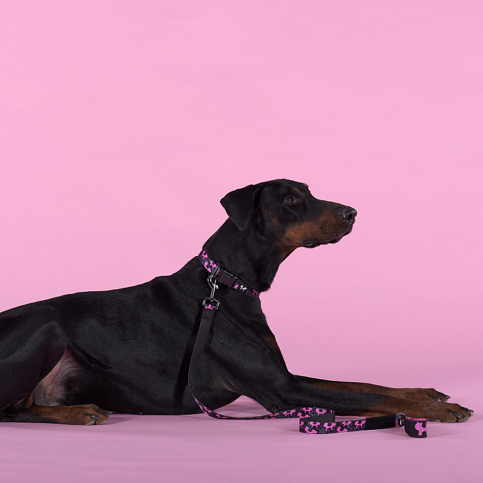 Ошейник United Pets для собак Complete me Identity M 34-56/2 см, черный с розовым СКИДКА 30%