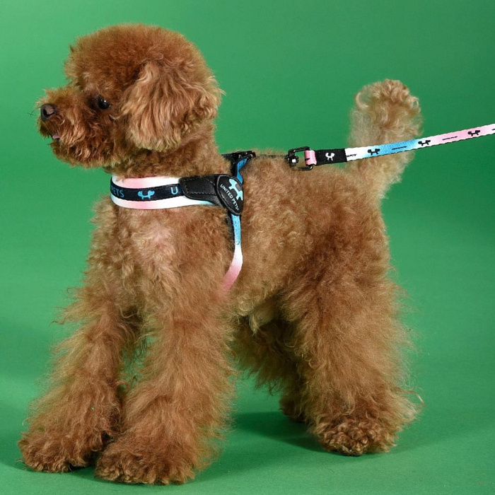 Поводок United Pets для собак Complete me 20 x 1400 mm, розово-голубой тай-дай СКИДКА 40%