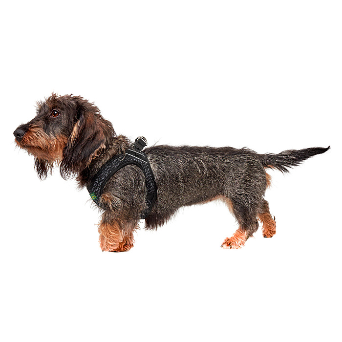 Hunter шлейка для собак Hilo Soft Comfort 58-65 см, сетчатый текстиль, серая СКИДКА 50%