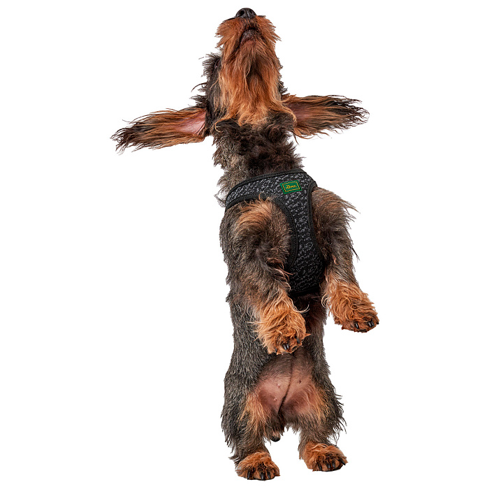 Hunter шлейка для собак Hilo Soft Comfort 58-65 см, сетчатый текстиль, серая СКИДКА 50%