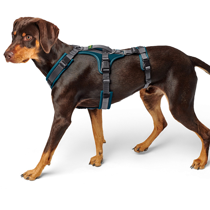 Hunter шлейка для собак Safety Maldon M (50-84 / 53-71 / 2,5 см) с ручкой, нейлон, сине-зеленый/серый СКИДКА 50%