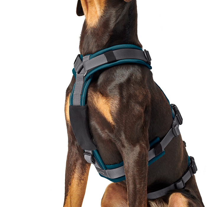 Hunter шлейка для собак Safety Maldon M-L (57-98 / 60-91 / 2,5 см) с ручкой, нейлон, сине-зеленый/серый СКИДКА 50%