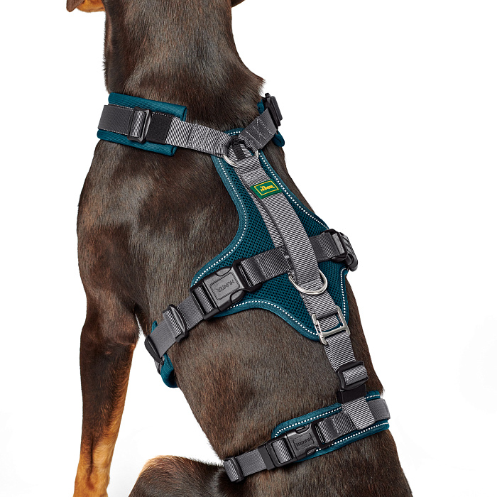 Hunter шлейка для собак Safety Maldon M-L (57-98 / 60-91 / 2,5 см) с ручкой, нейлон, сине-зеленый/серый СКИДКА 50%