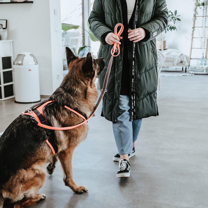 Hunter шлейка для собак Safety Maldon S-M (46-82 / 47-69 / 2 см) с ручкой, нейлон, оранжевый/серый СКИДКА 50%