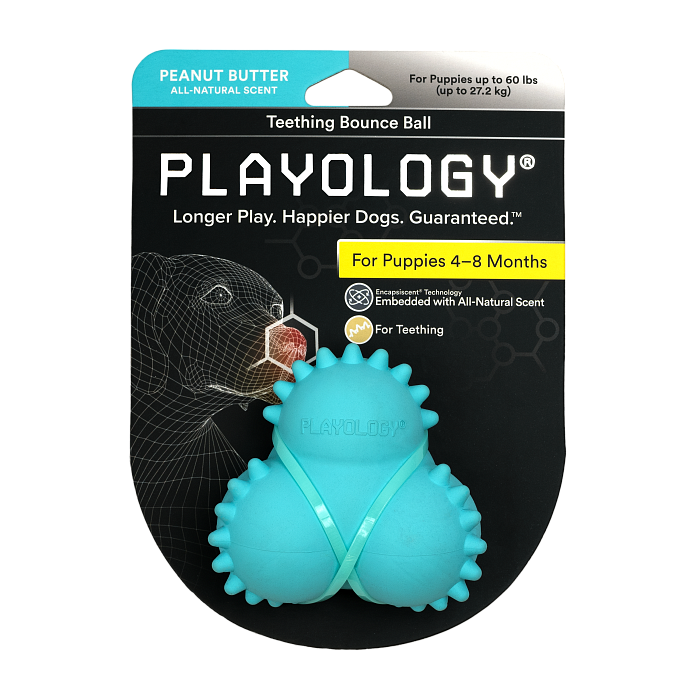 Playology дентальный жевательный тройной мяч  SQUEAKY BOUNCE BALL для щенков 4-8 месяцев с ароматом арахиса, цвет голубой СКИДКА 50%