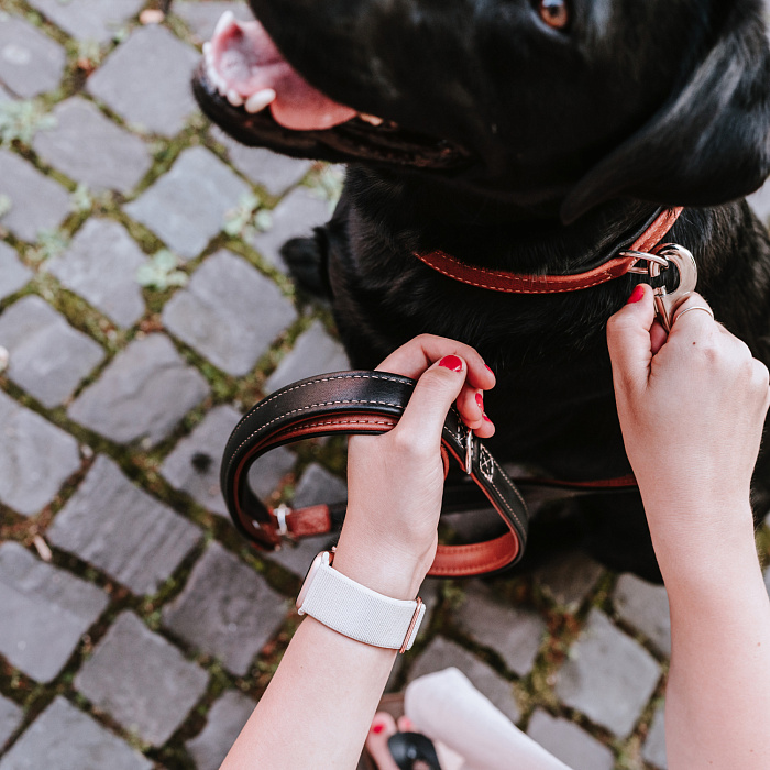 Ошейник Hunter Canadian UP для собак, обхват 42-48 см, длина 55 см, коньячно-черный