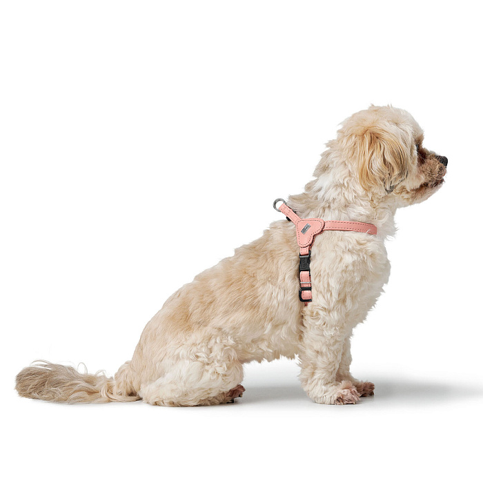 Hunter шлейка для собак Soho Mini XXS-XS (28-34 см), натуральная кожа, розовая