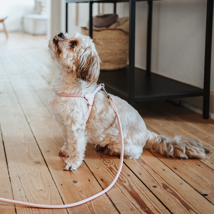 Hunter шлейка для собак Soho Mini XXS-XS (28-34 см), натуральная кожа, розовая