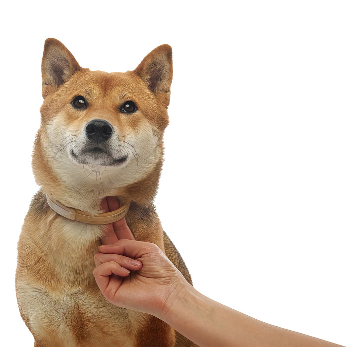 Bayer Килтикс ошейник от клещей 48 см для собак средних пород