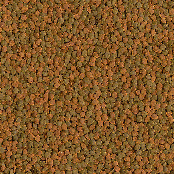 TetraWaferMix Mini корм в мини-чипсах для всех мелких донных рыб 100 мл