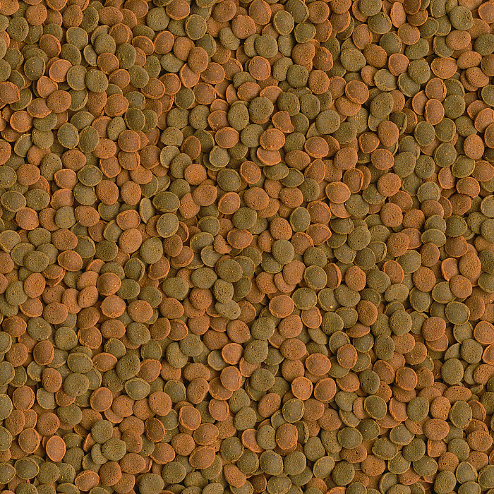 TetraWaferMix корм-чипсы для всех донных рыб 3,6 л