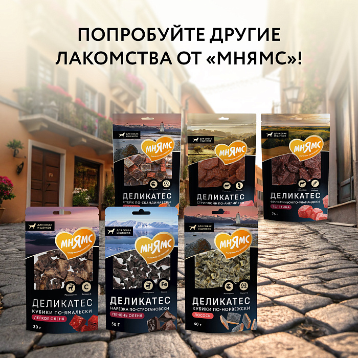 Лакомство Мнямс Деликатес Пармская косточка для собак размер S 35 г