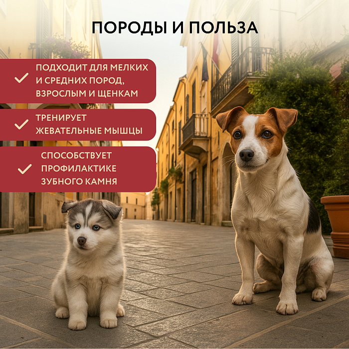 Лакомство Мнямс Деликатес Пармская косточка для собак размер S 35 г