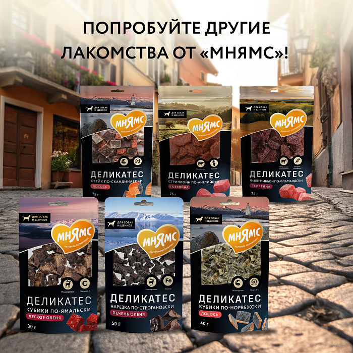 Лакомство Мнямс Деликатес Пармская косточка для собак размер S 35 г