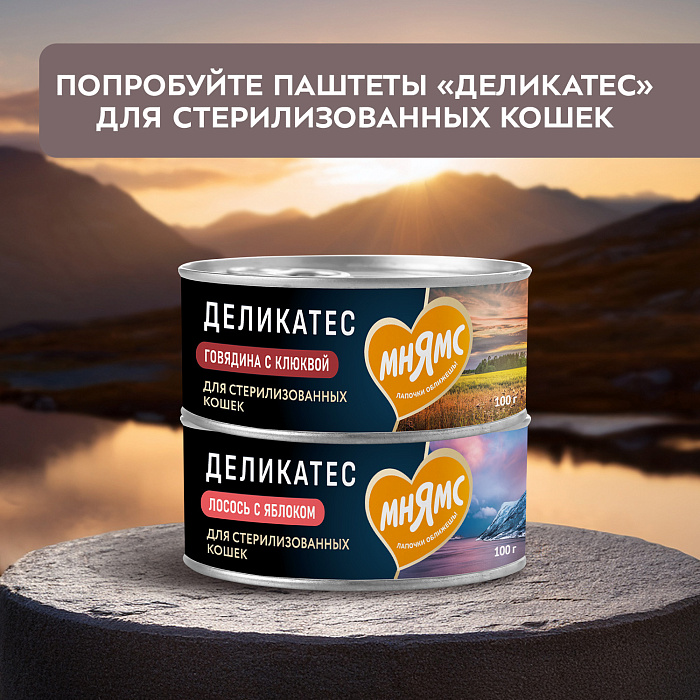 Влажный корм Мнямс Деликатес Куриное филе с тунцом в соусе для стерилизованных кошек 50 г