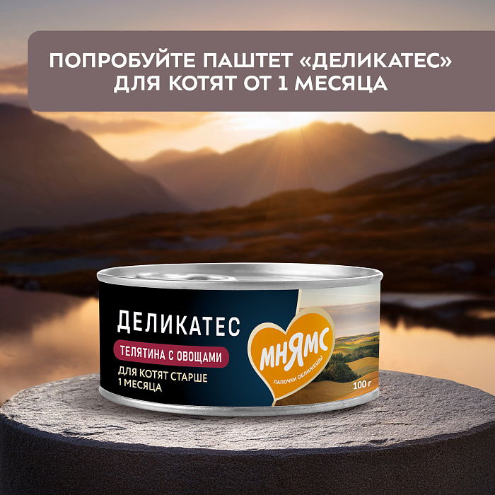 Влажный корм Мнямс Деликатес Куриное филе с козьим молоком в соусе для котят старше 3 месяцев 50 г