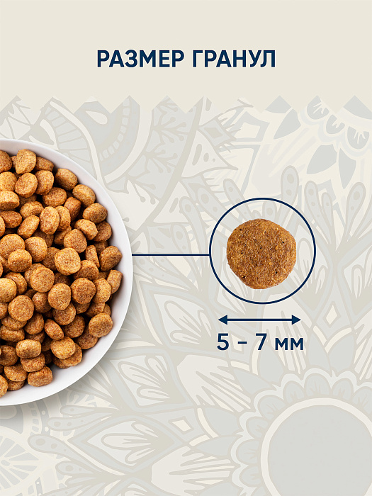 Сухой корм VIDA NATIVA для котят из курицы с черникой 1,4 кг