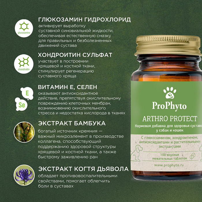 ProPhyto Артро Защита, 100 таблеток